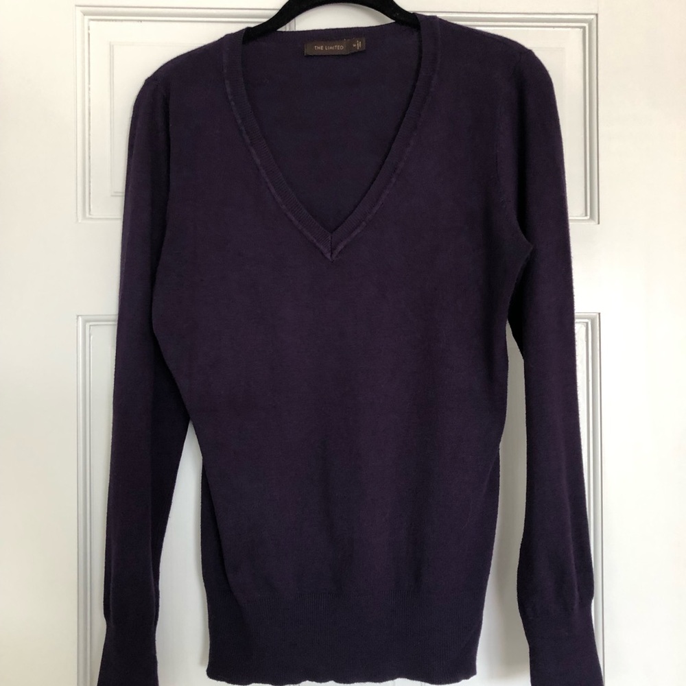 The Limited V neck Sweater